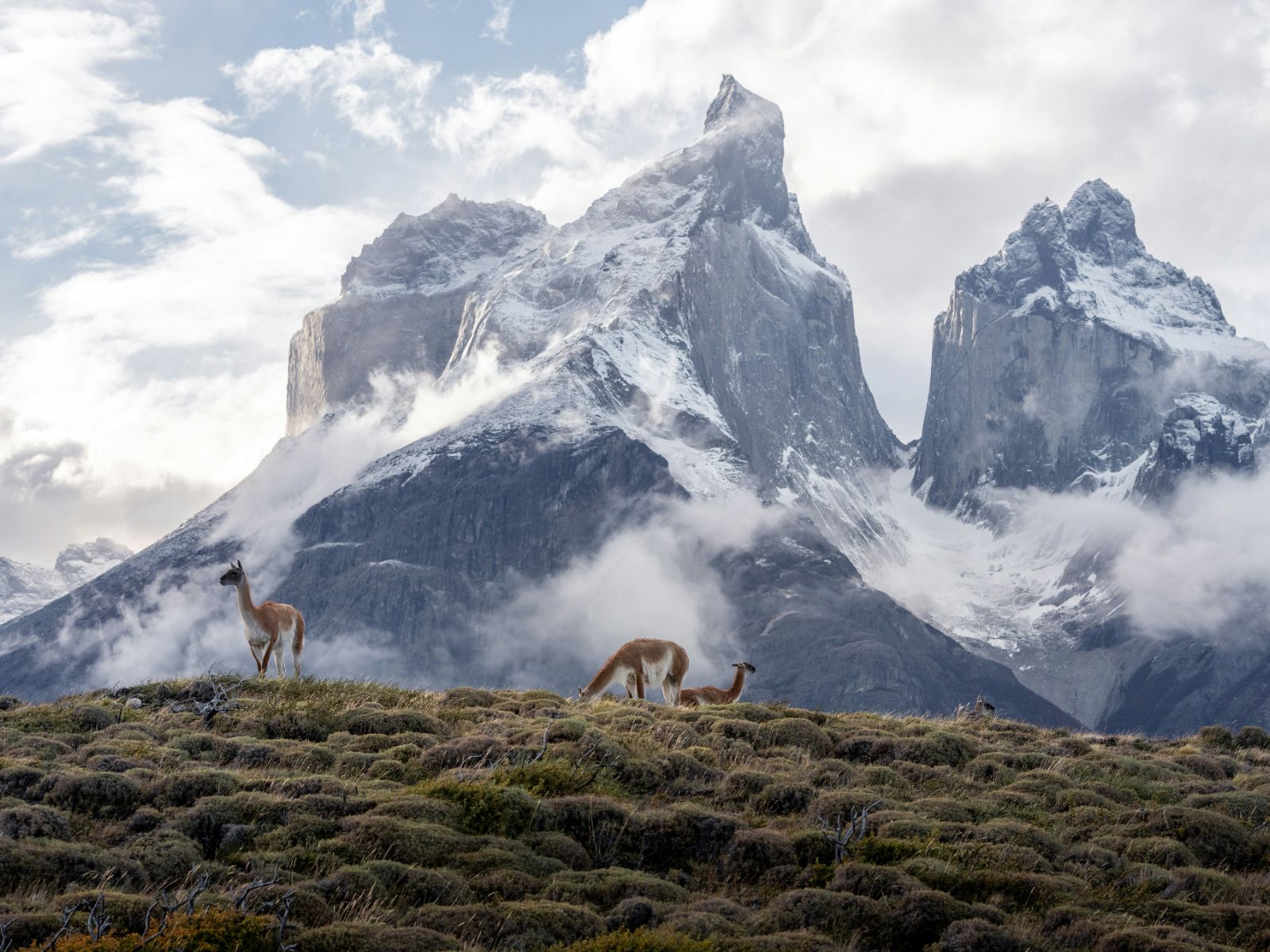 rondreis chili torres del paine hoogtepunt 25