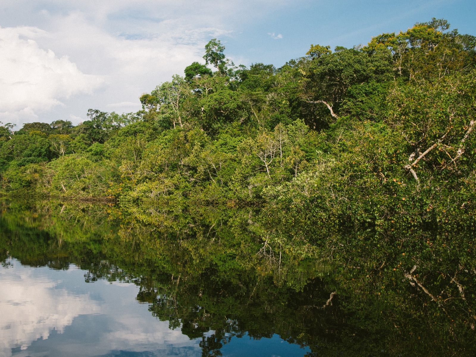 rondreis colombia, amazone (letitcia) rivier