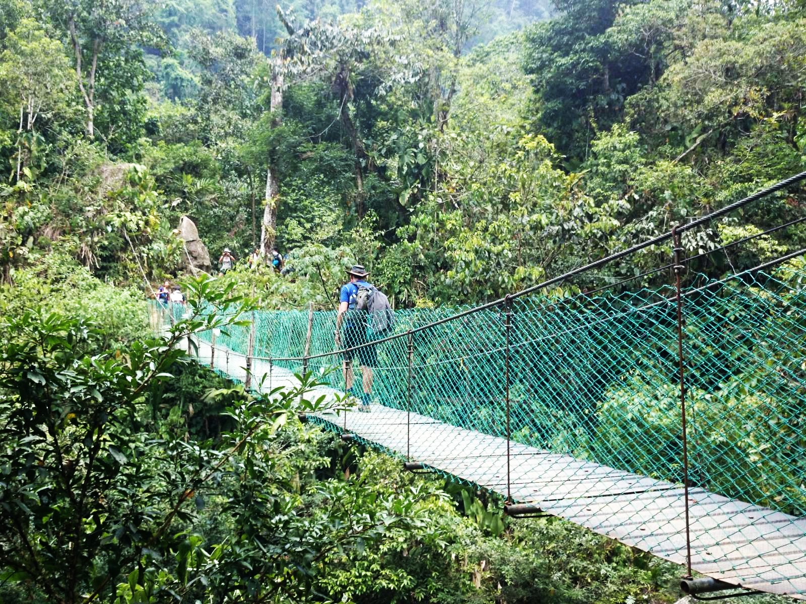 rondreis colombia ciudad perdida trekking, loopbrug