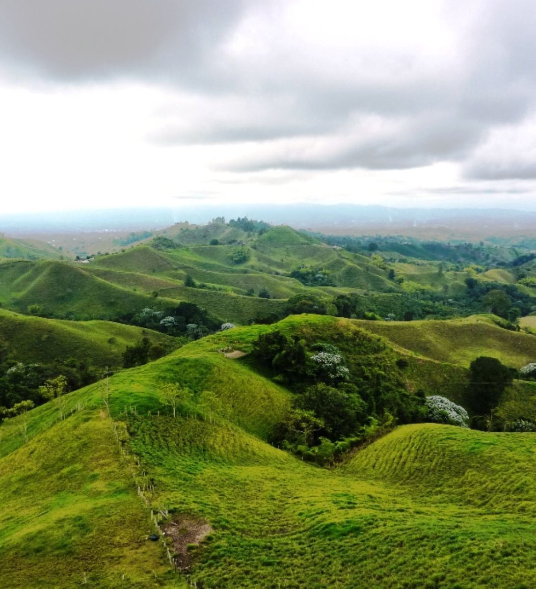 rondreis colombia, koffieregio heuvels