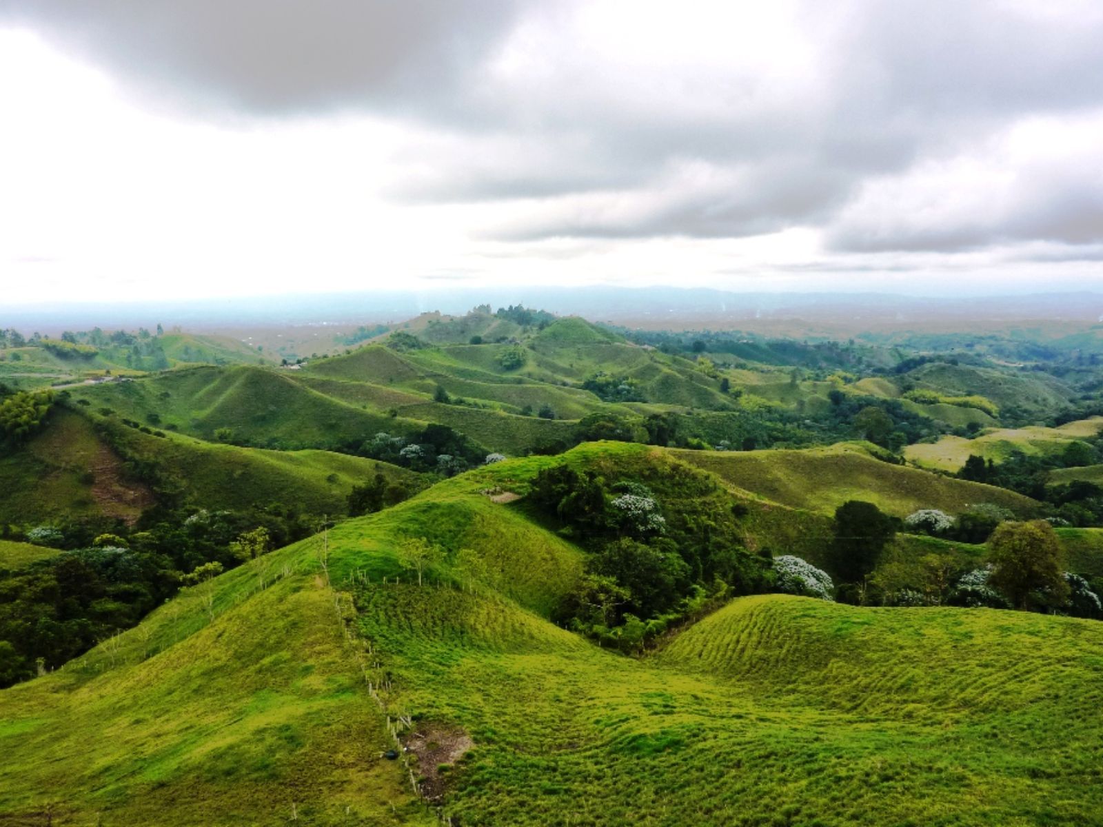 rondreis colombia, koffieregio heuvels