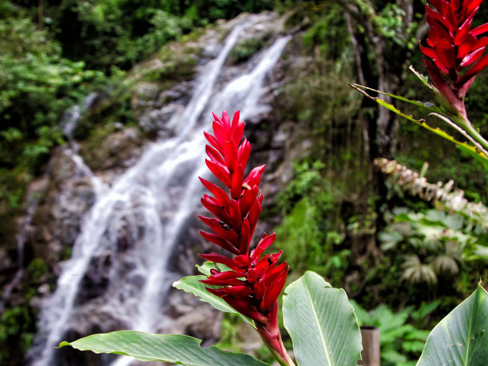 rondreis colombia minca hoogtepunt 4