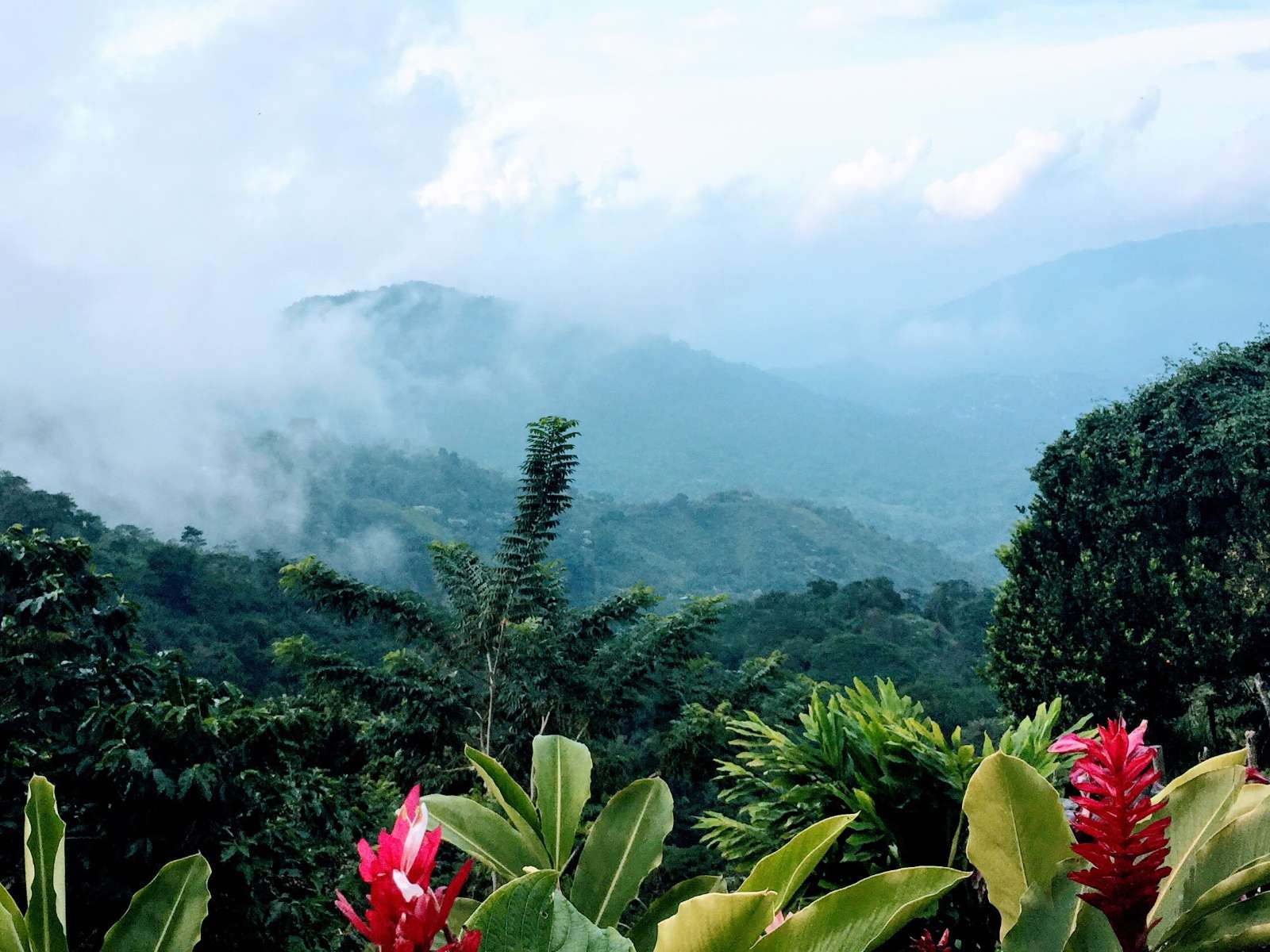 rondreis colombia minca hoogtepunt 5