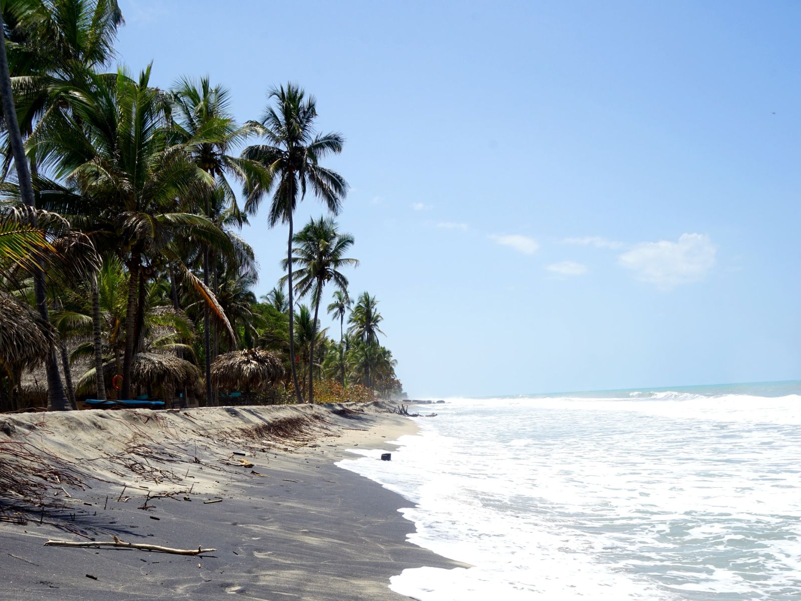 rondreis colombia, palomino palmbomen aan zee
