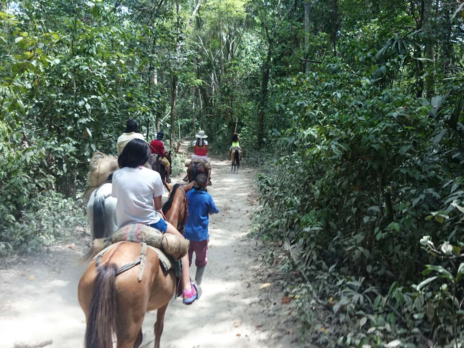 rondreis colombia tayrona national park hoogtepunt 6