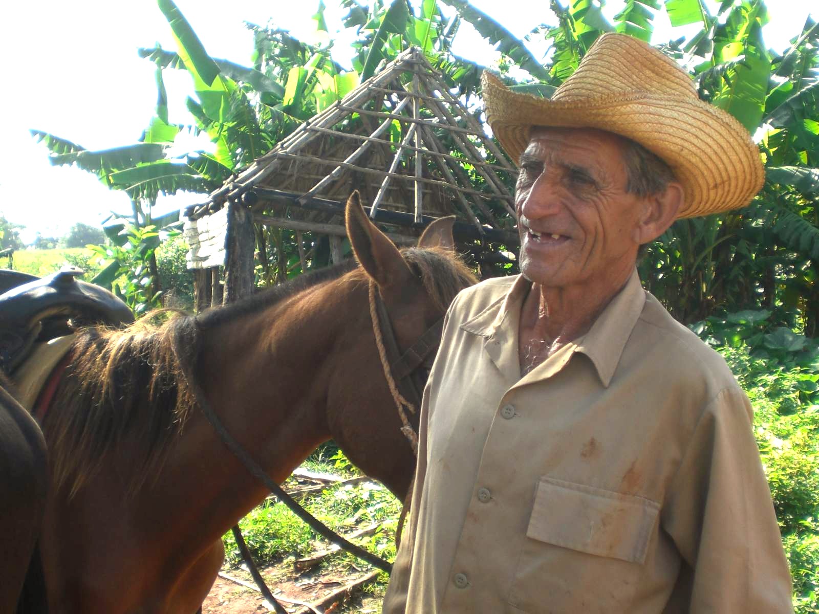 rondreis cuba vinales vallei cuba hoogtepunt 7
