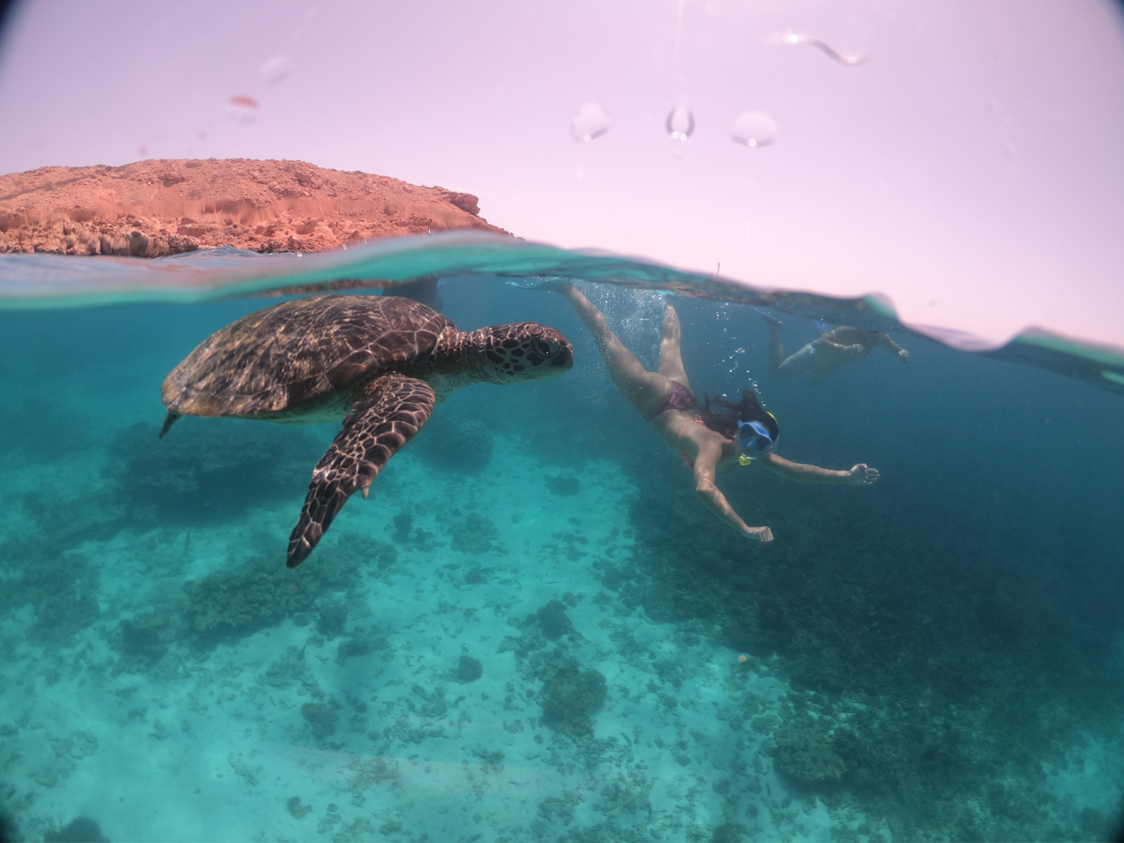 rondreis oman, ad daymaniyat islands Snorkelen