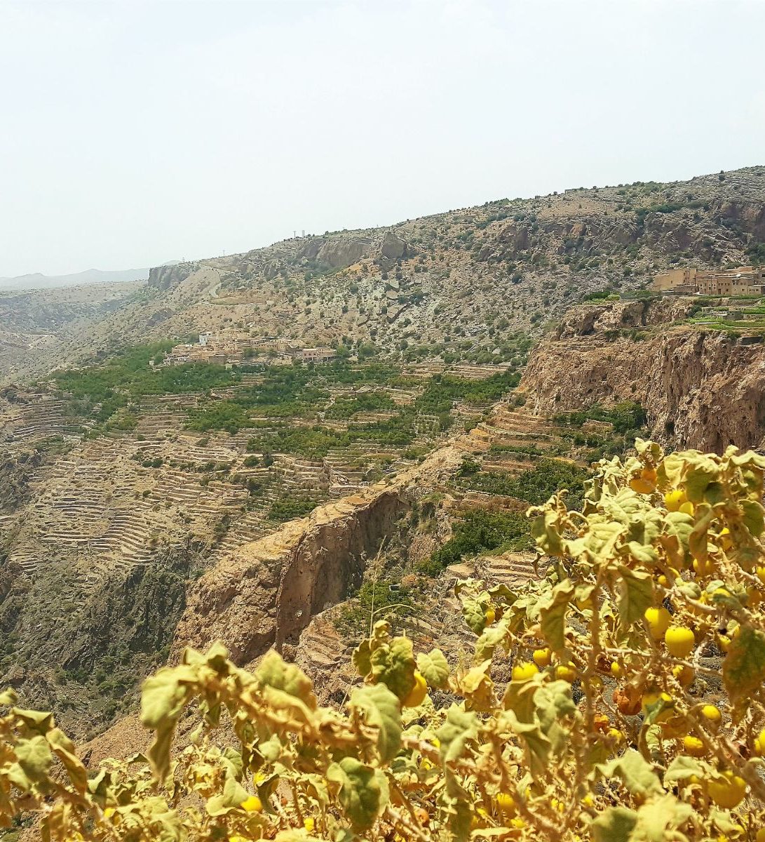 rondreis oman, jebel akhdar gebergte Dorp