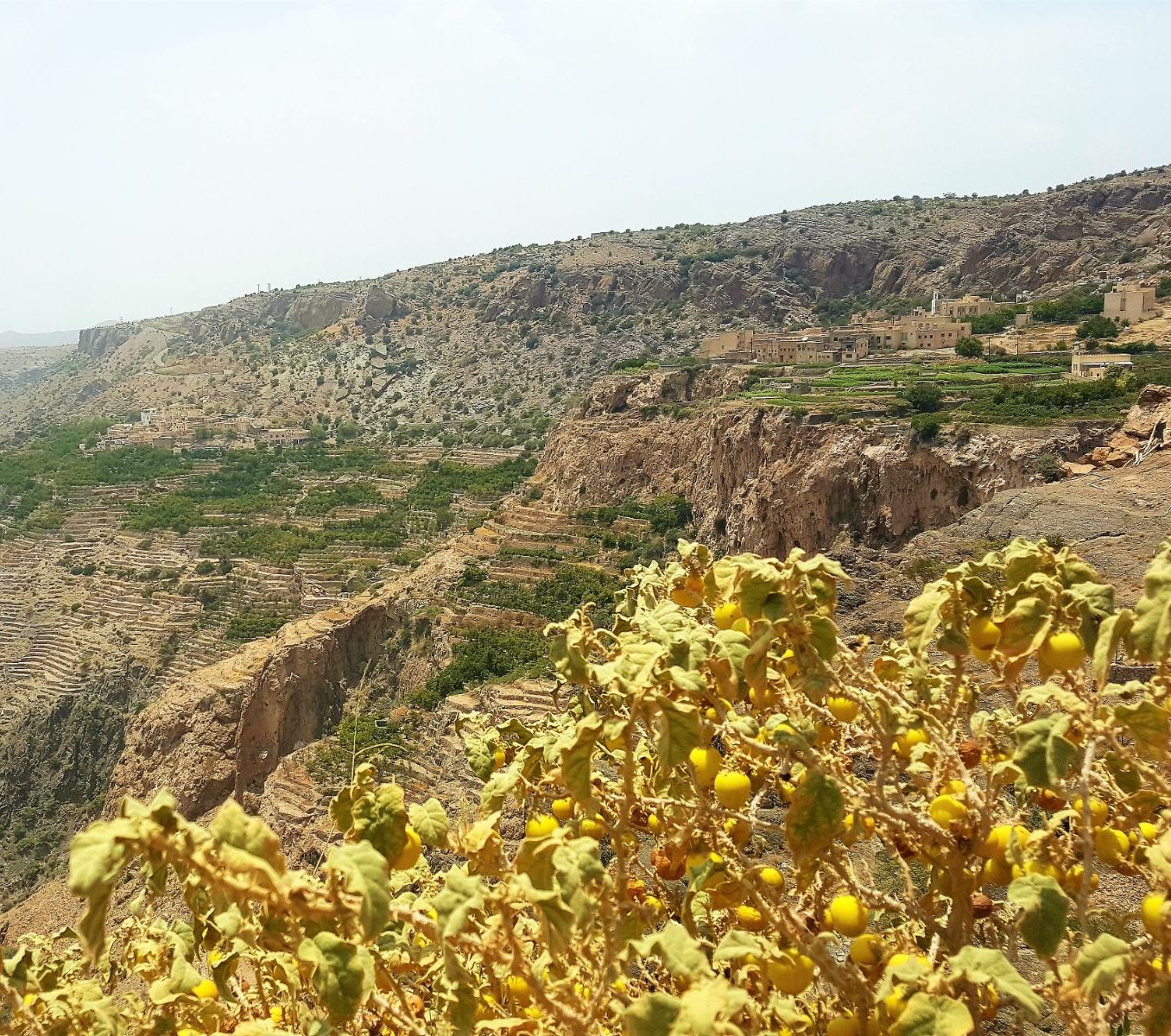 rondreis oman, jebel akhdar gebergte Dorp