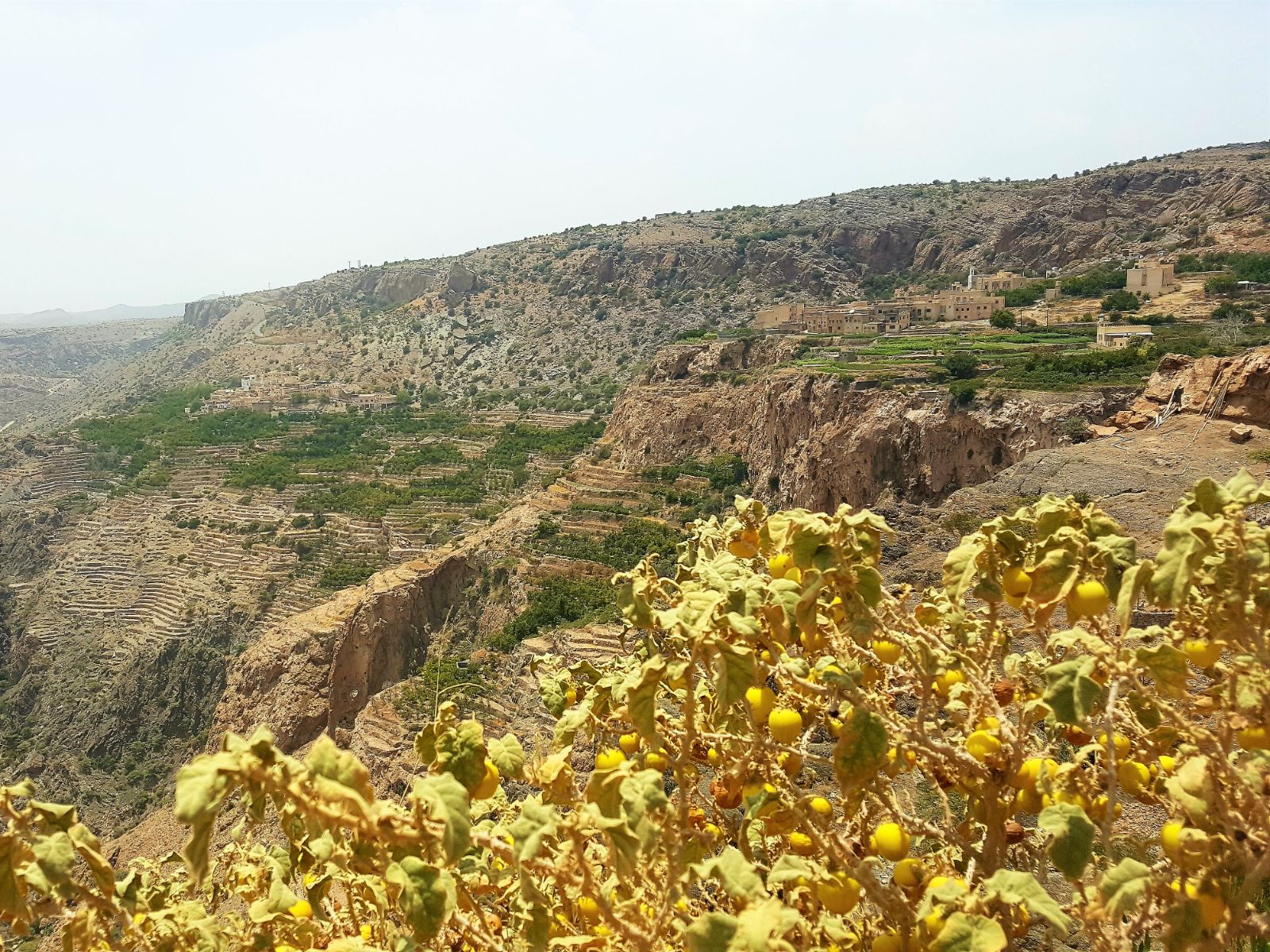 rondreis oman, jebel akhdar gebergte Dorp