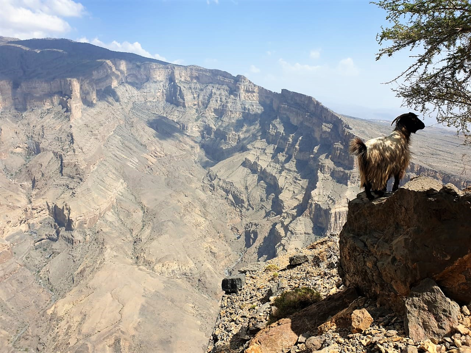 rondreis oman, jebel shams uitzicht
