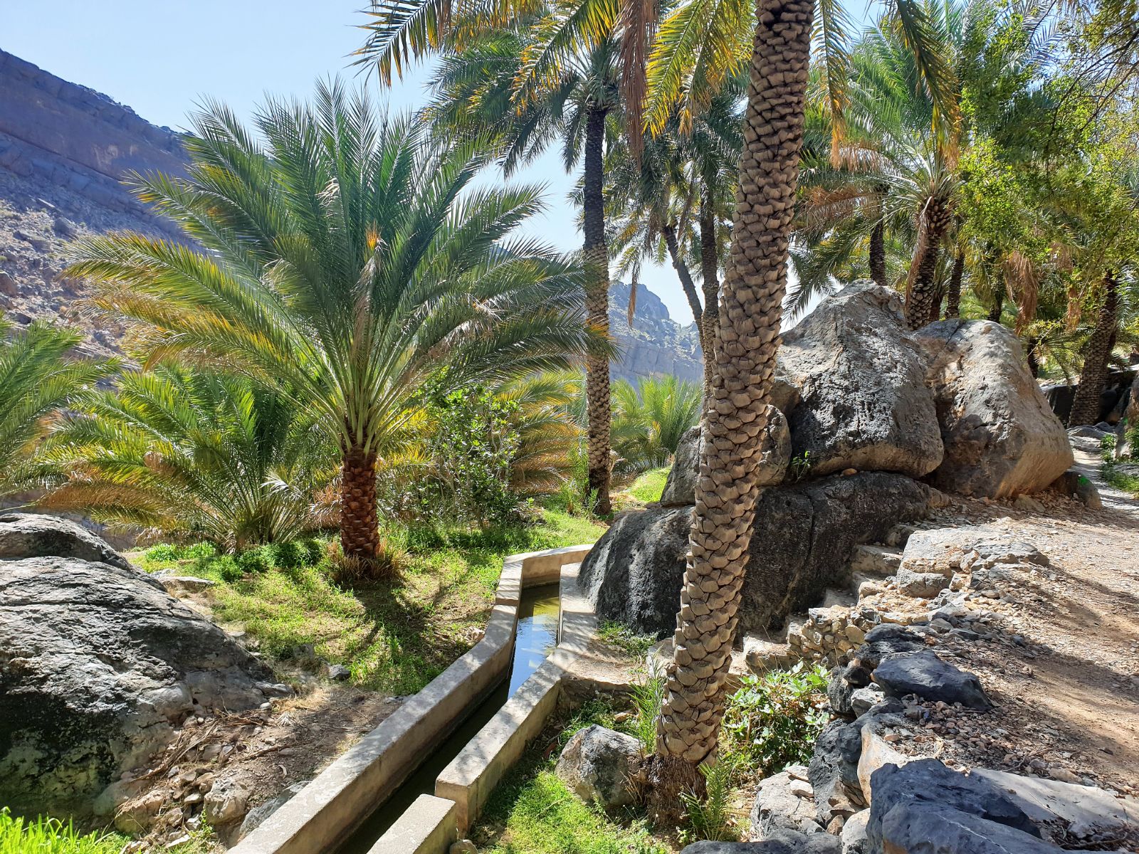 rondreis oman, misfah al abreyeen Falaj Aflaj Irrigation Systems palmbomen