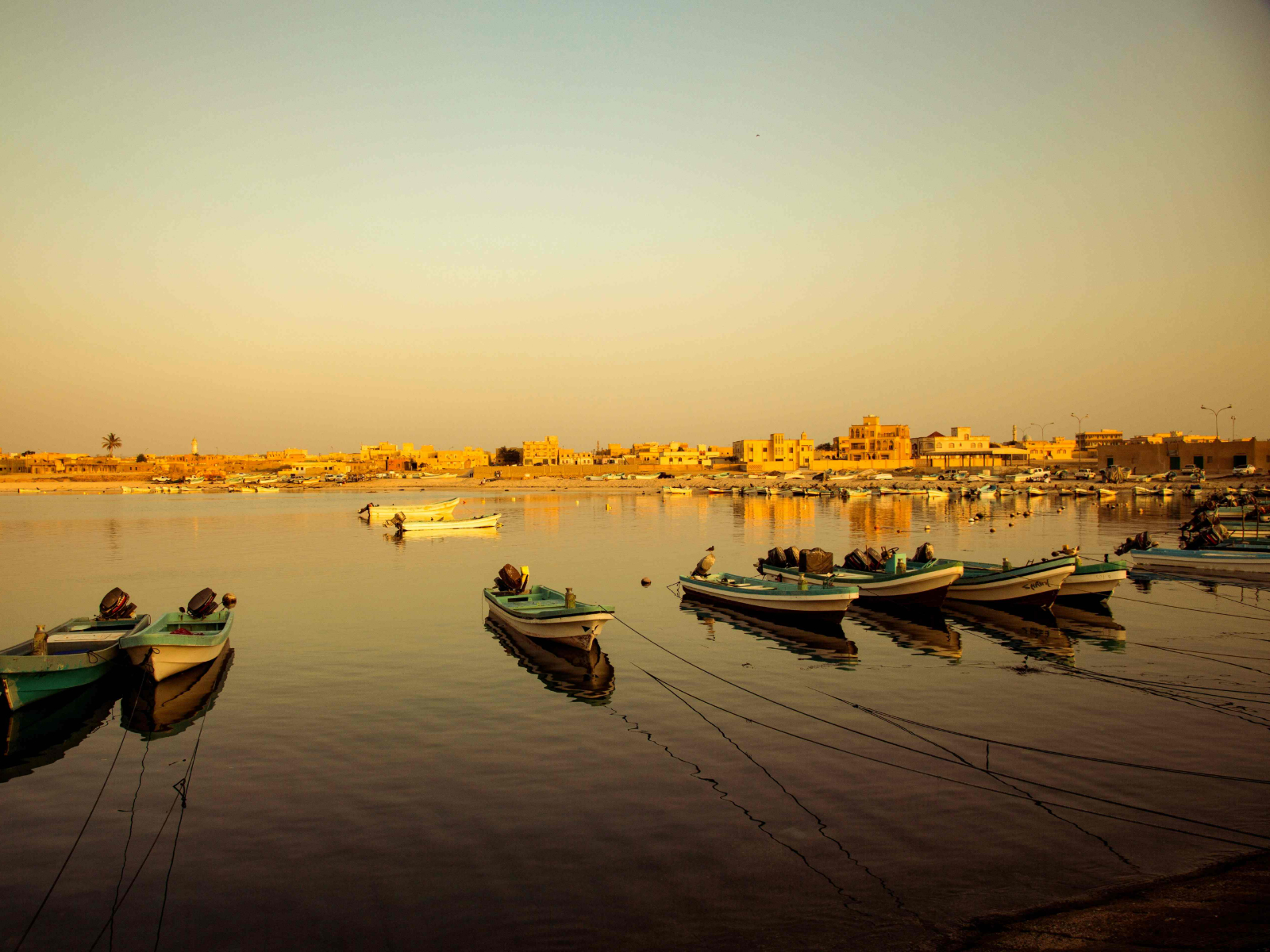 rondreis oman, salalah haven