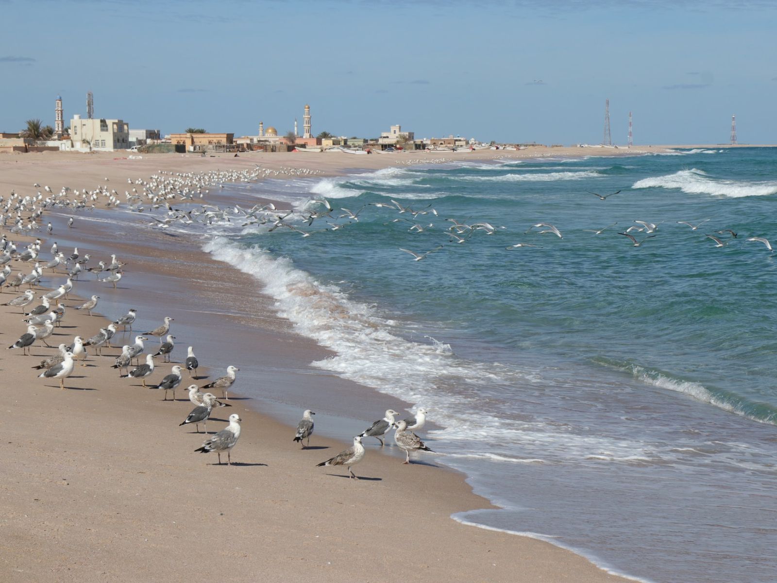 rondreis oman, sur Strand