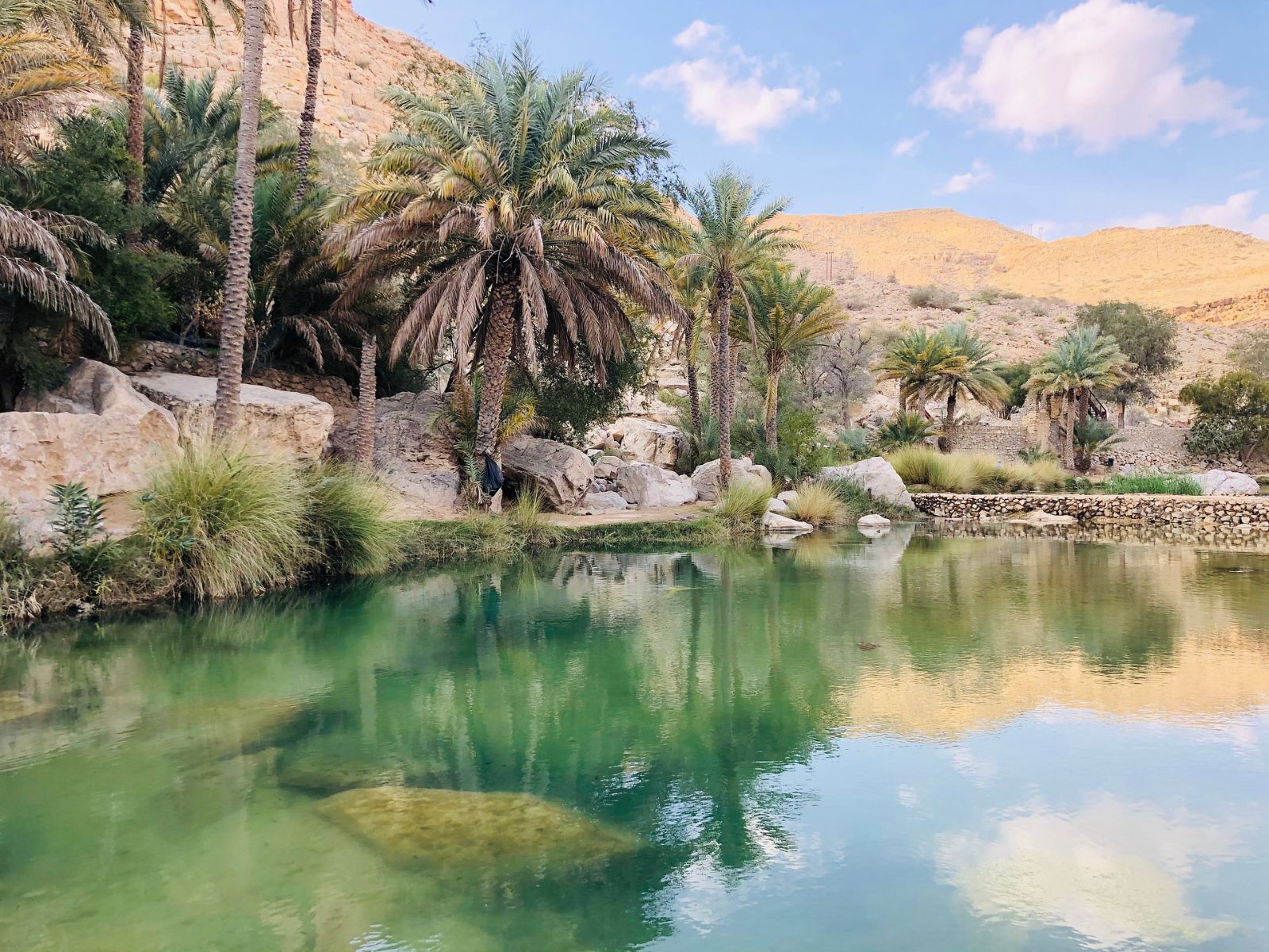 rondreis oman, wadi bani khalid Oasis uitzicht linkerkant