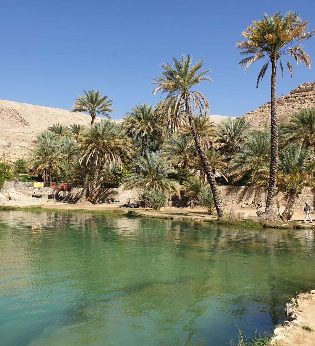 rondreis oman, wadi bani khalid Oasis uizicht rechterkant