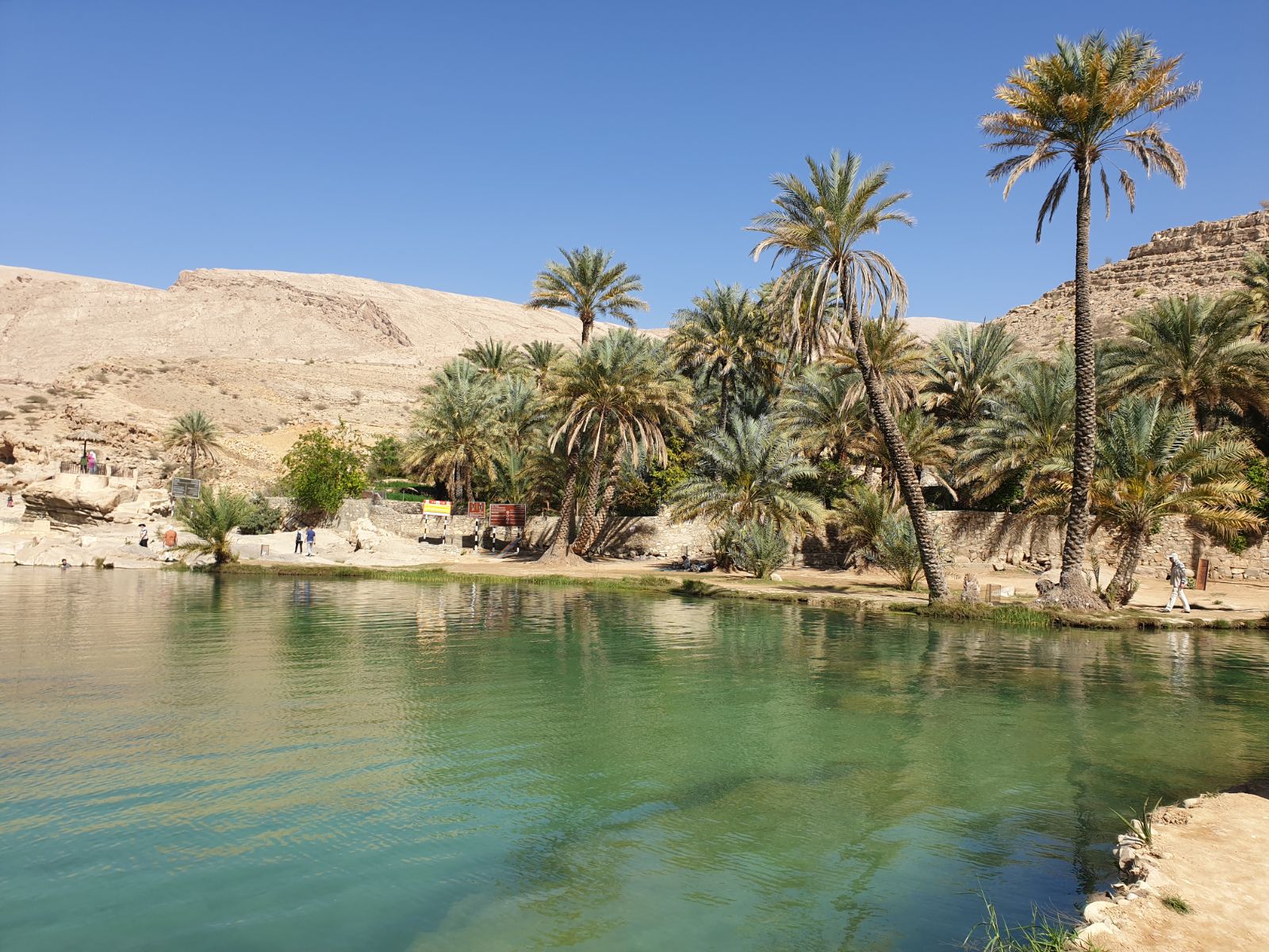 rondreis oman, wadi bani khalid Oasis uizicht rechterkant
