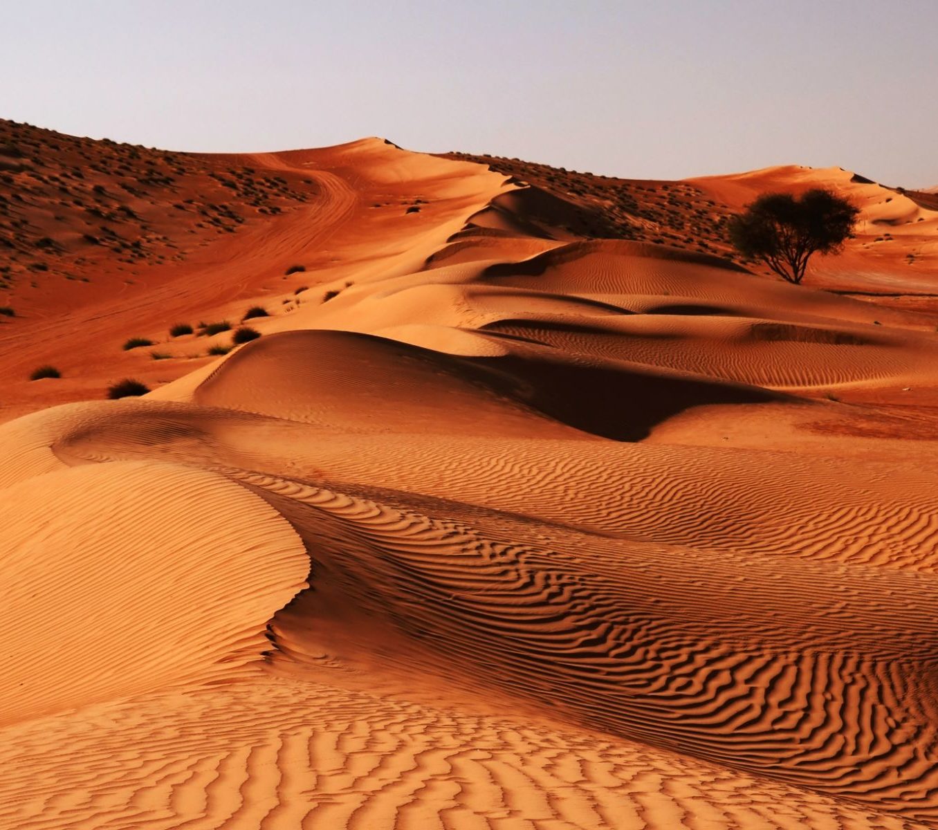 rondreis oman, wahiba sands Woestijn 3