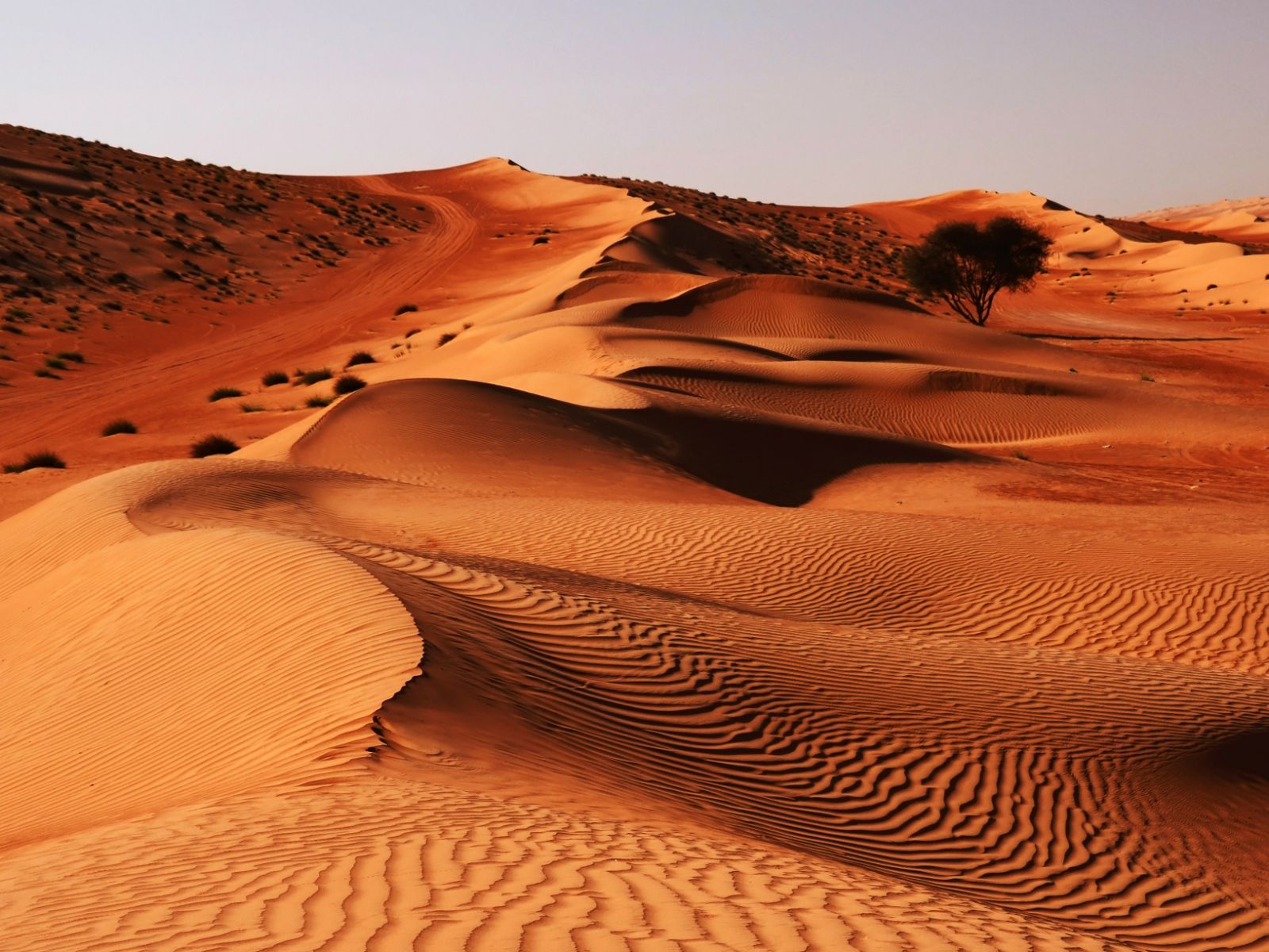 rondreis oman, wahiba sands Woestijn 3