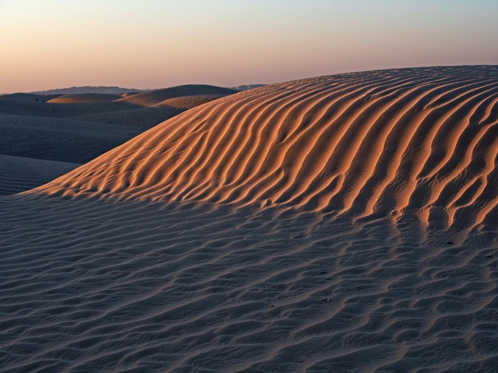 rondreis oman, wahiba sands Woestijn 4