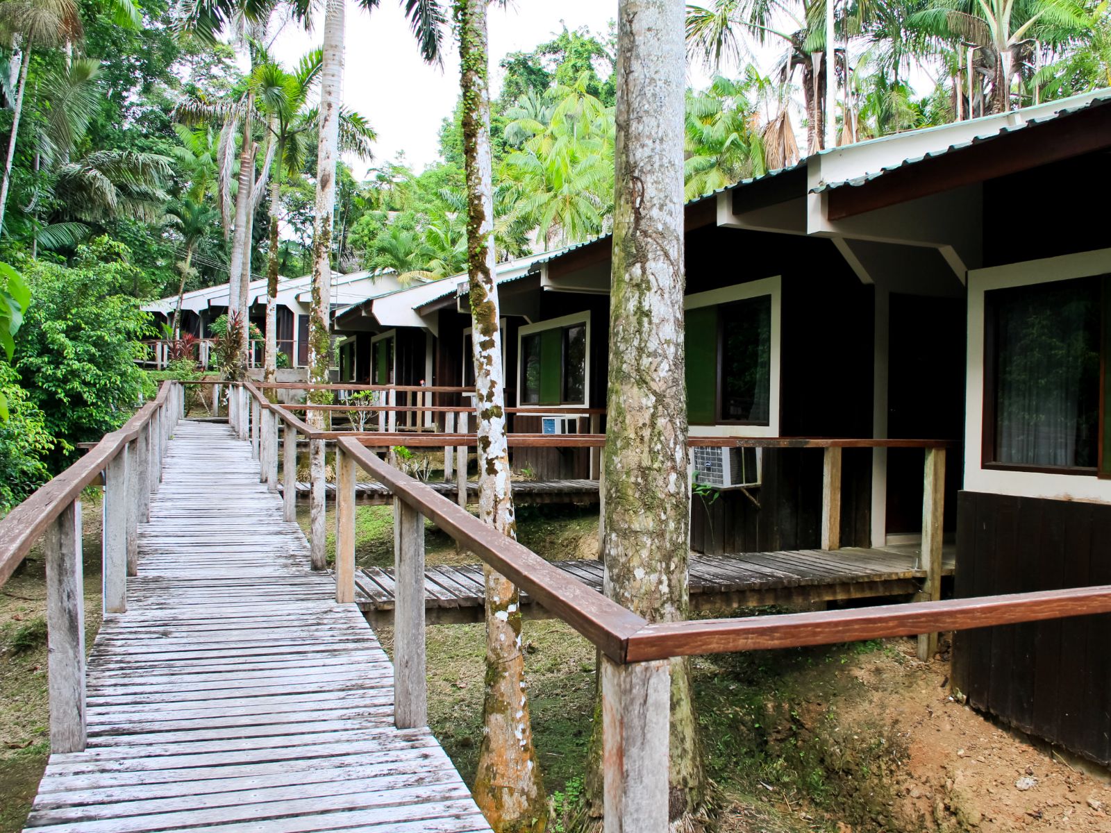rondreis peru, iquitos, ceiba tops lodge accommodatie