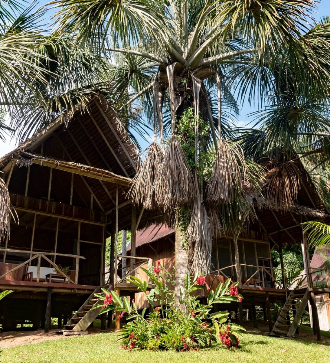 rondreis peru, iquitos, pacaya samiria lodge hotel