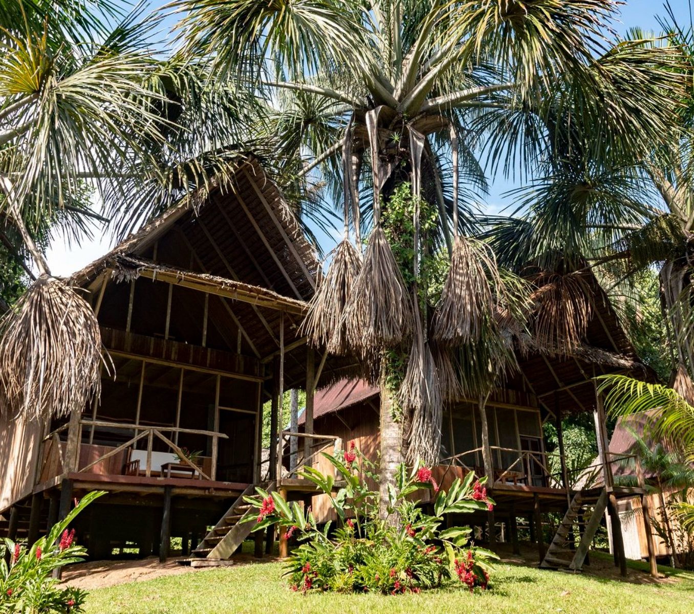 rondreis peru, iquitos, pacaya samiria lodge hotel