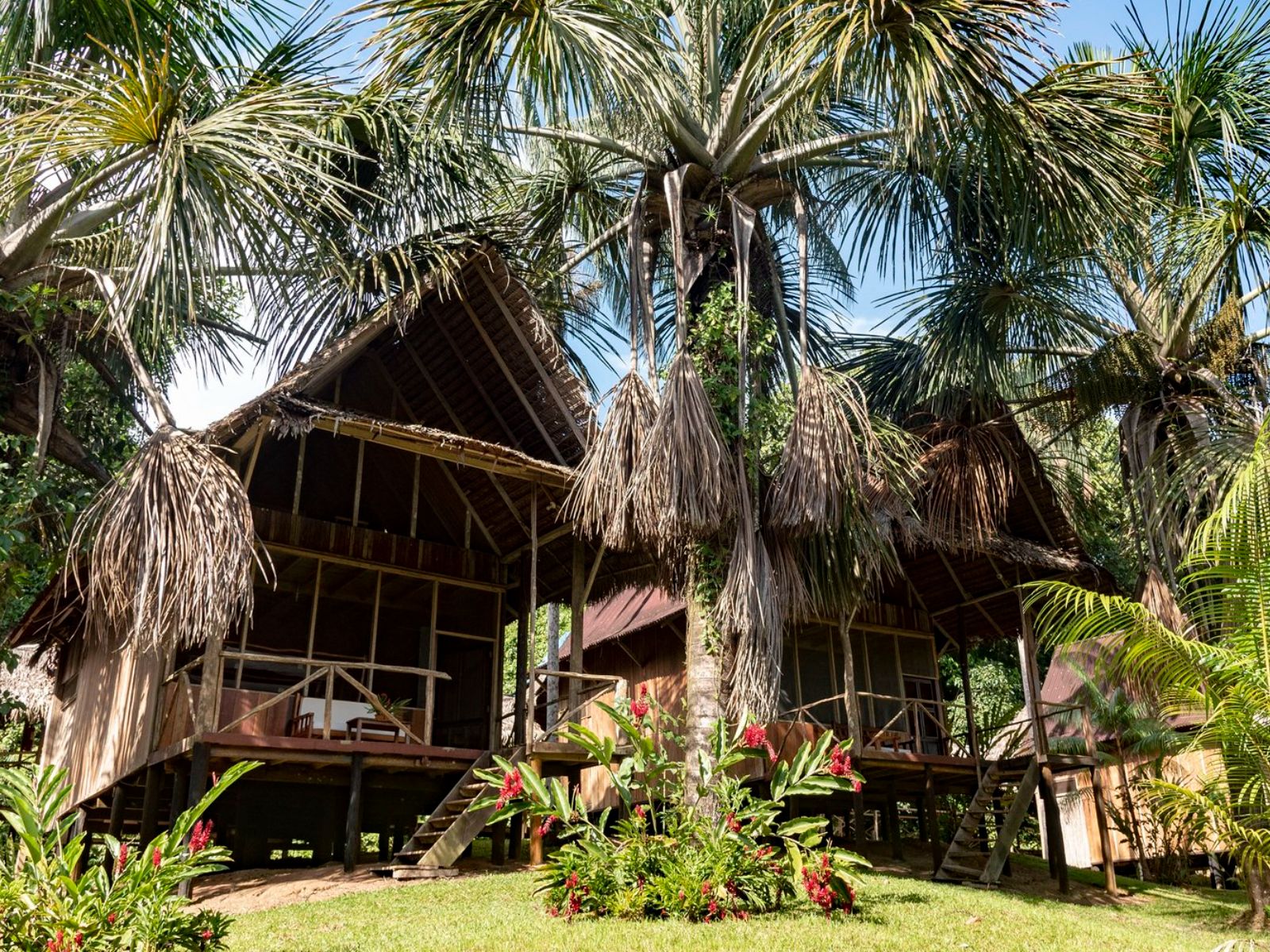 rondreis peru, iquitos, pacaya samiria lodge hotel