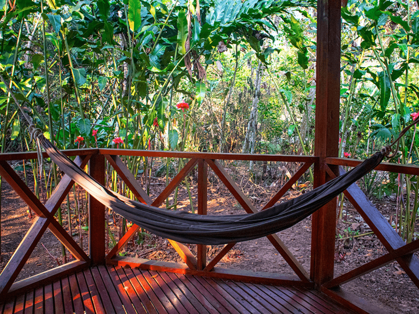 rondreis peru, puerto maldonado, nape lodge - hangmat