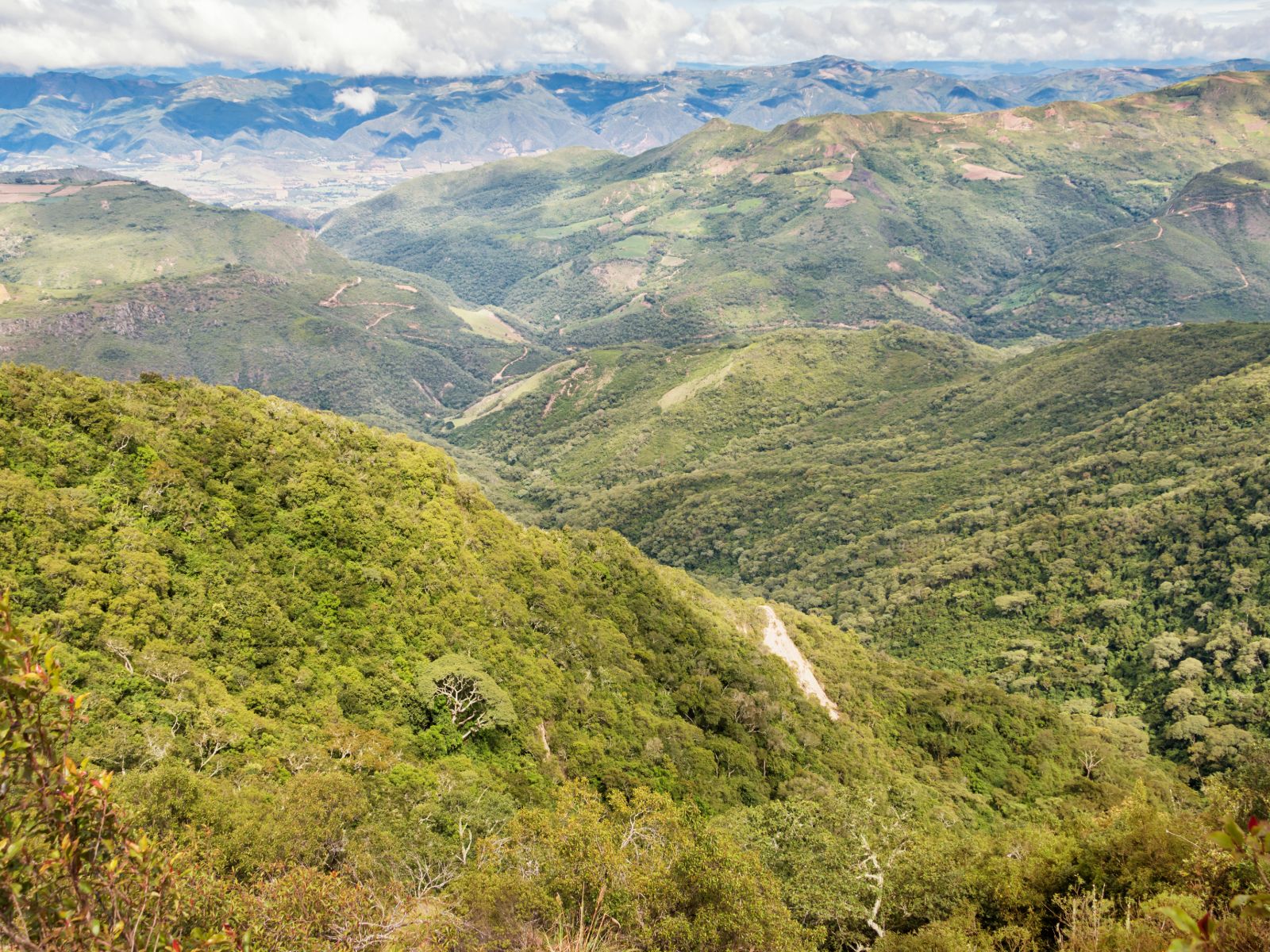 Rondreis Bolivia, Amboro National Park, landschap