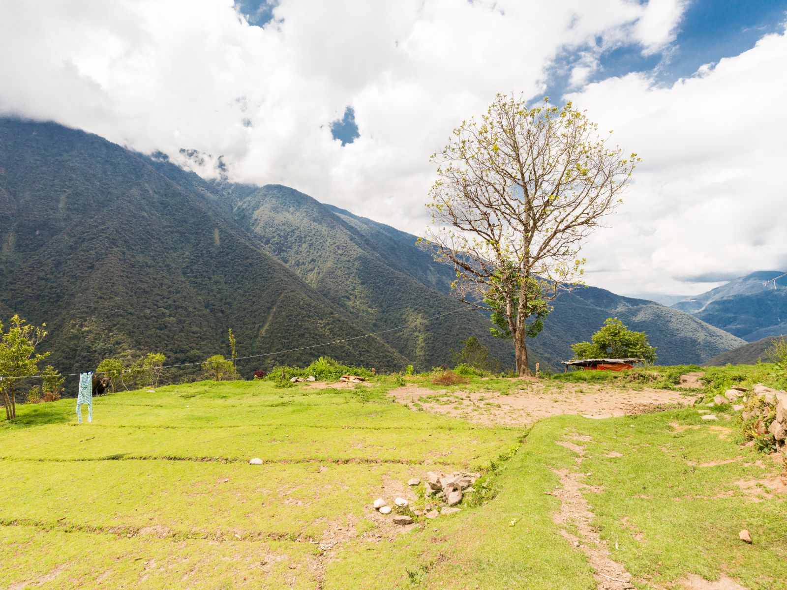 Rondreis Bolivia, El Camino del Choro, pad met bergen