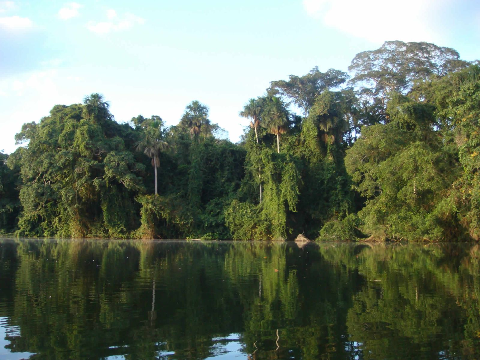 Rondreis Bolivia, Rurrenabaque, meer en regenwoud