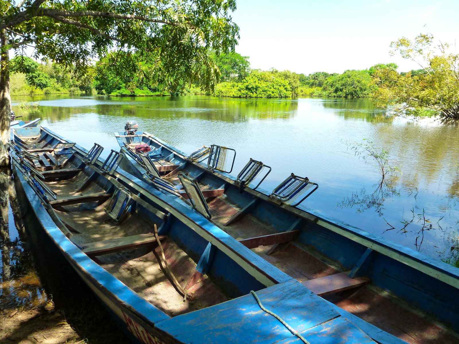 Rondreis Bolivia, Rurrenabaque, meer met boten en regenwoud op de achtergrond