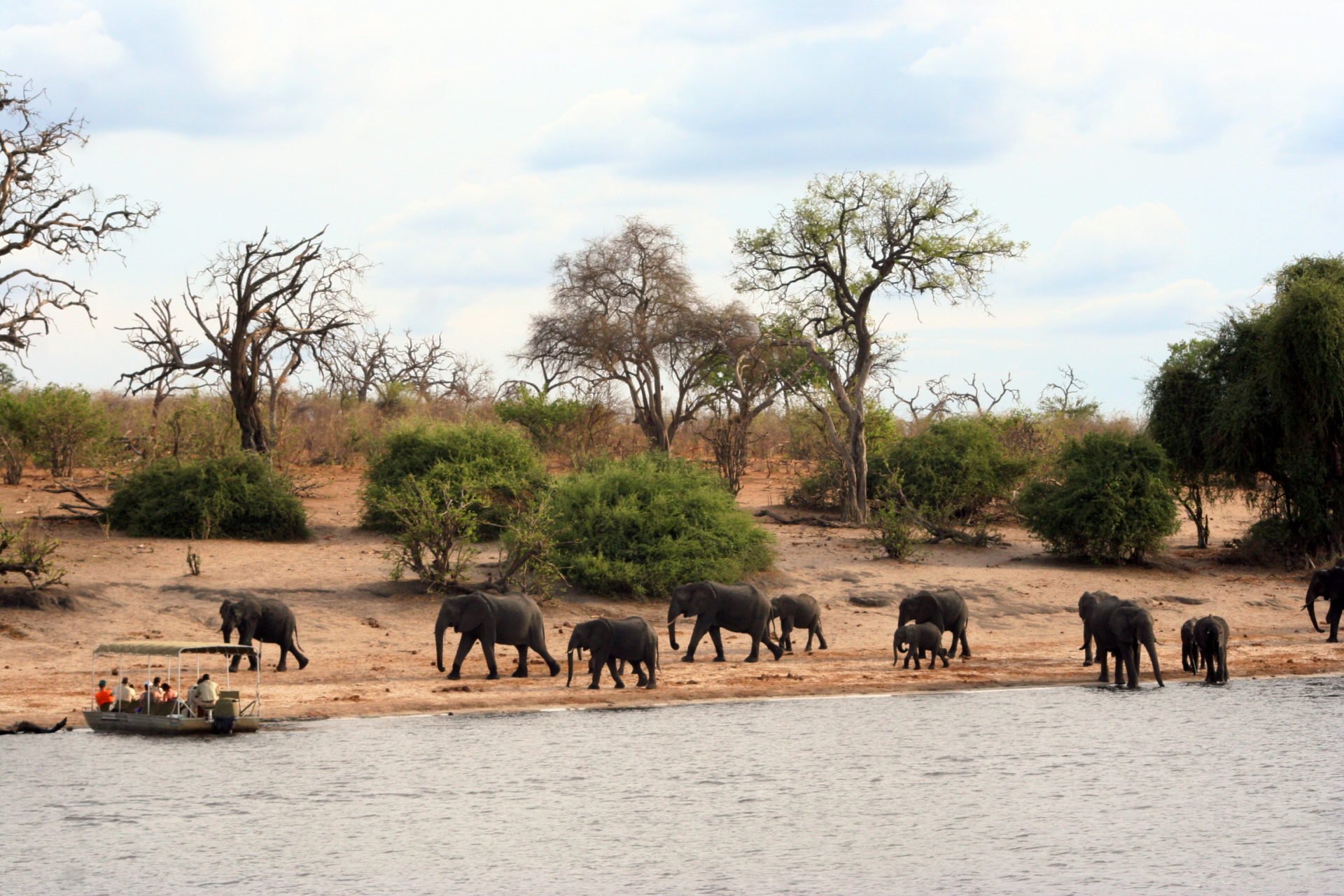 Rondreis Botswana, Chobe National Park, olifanten bij waterplaats met boot op het water