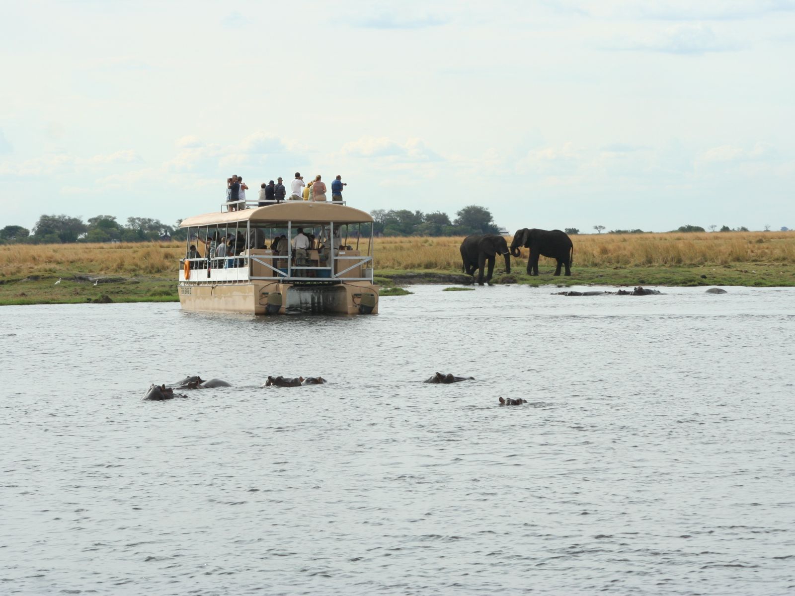 Rondreis Botswana, Chobe National Park, waterplaats met nijlpaarden en olifanten en boot op het water