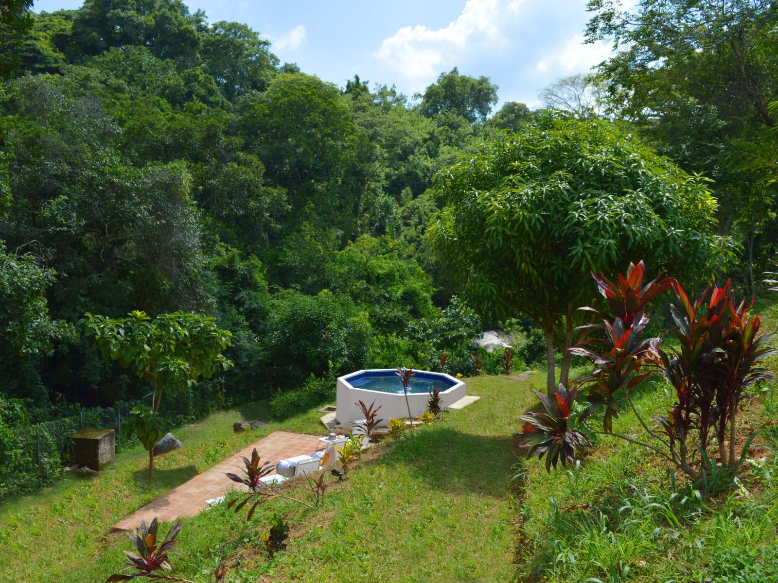 Rondreis Colombia, Minca, sweet harmony zwembad