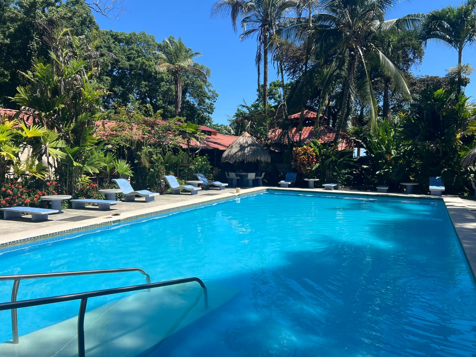 Rondreis Costa Rica, Cahuita, Atlantida Lodge, zwembad