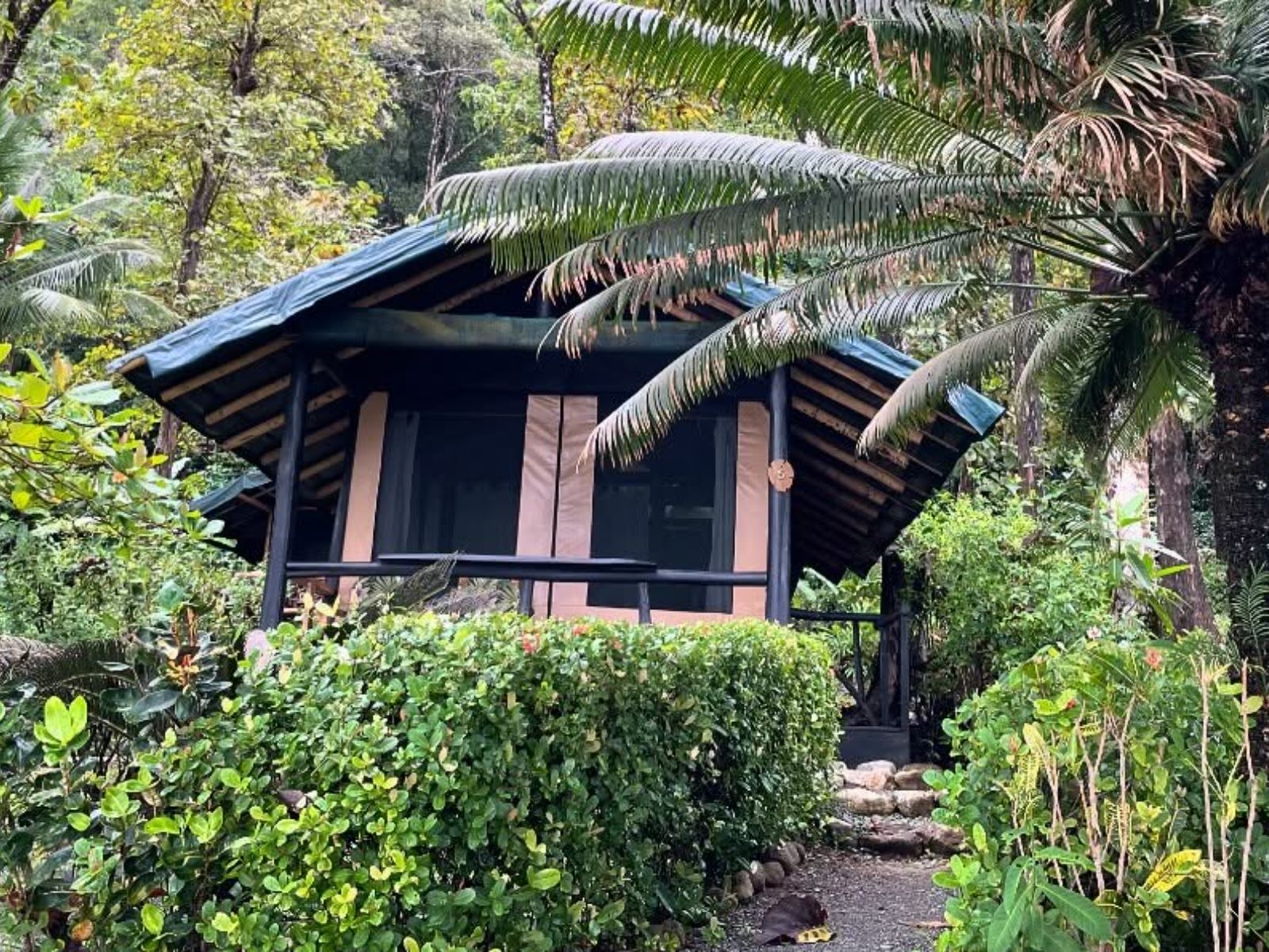 Rondreis Costa Rica, Corcovado National Park, La Leona Eco Lodge, accomodatie