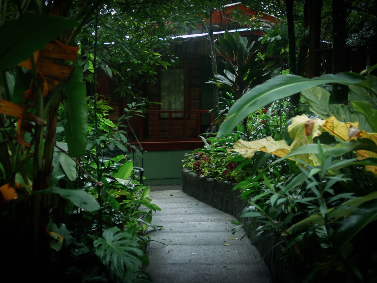Rondreis Costa Rica, Monteverde, Jaguarundi Lodge, pad