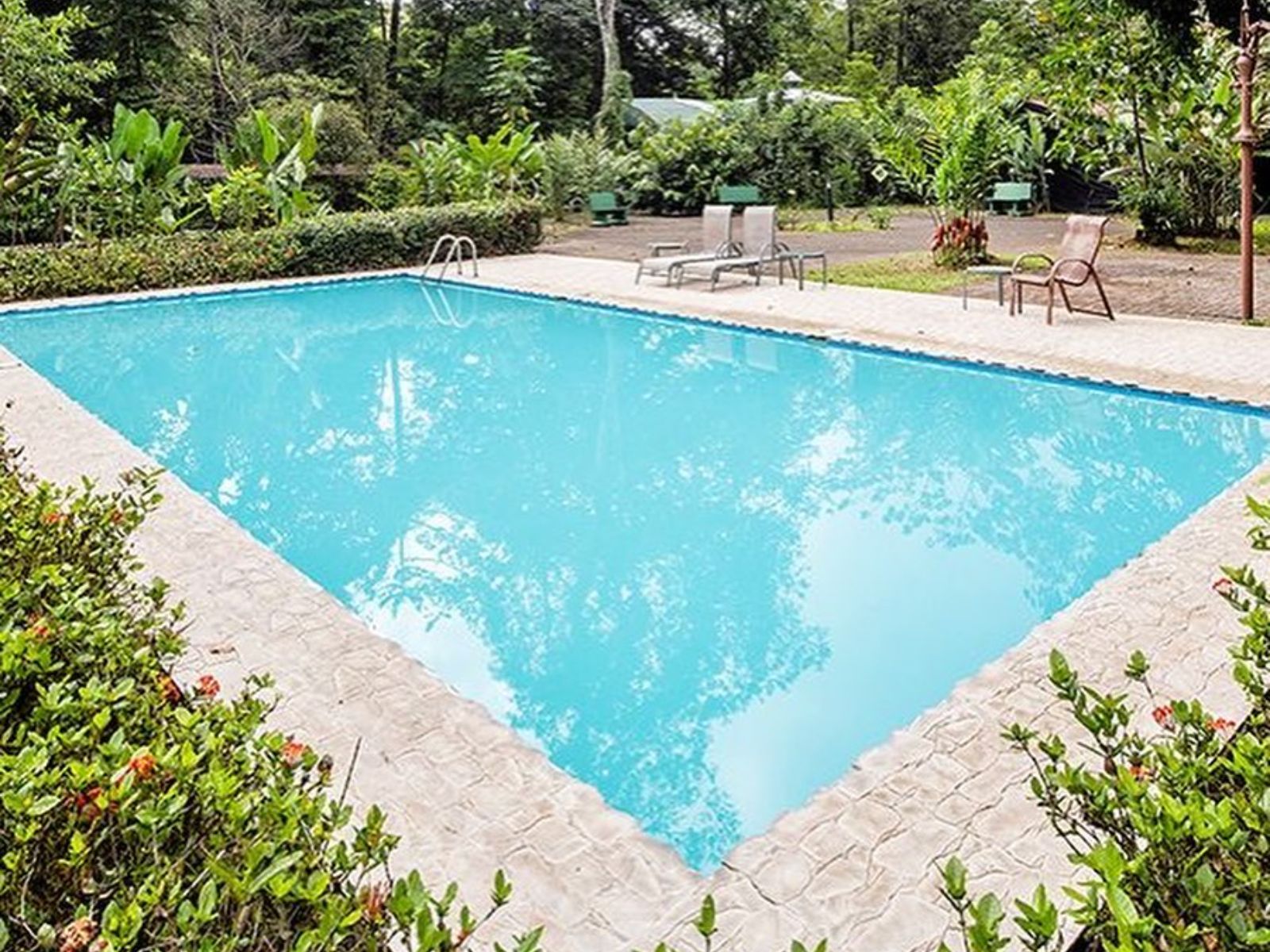 Rondreis Costa Rica, Puerto Viejo de Sarapiqui, La Quinta Sarapiqui Lodge, zwembad
