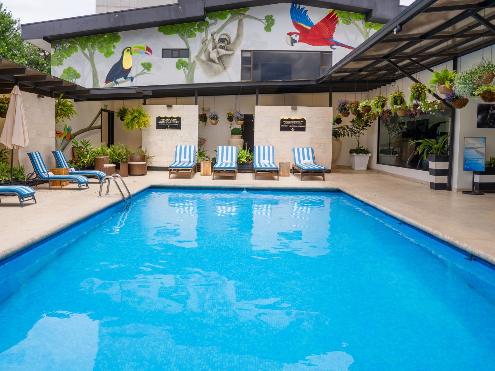 Rondreis Costa Rica, San Jose, KC Hotel San Jose, zwembad