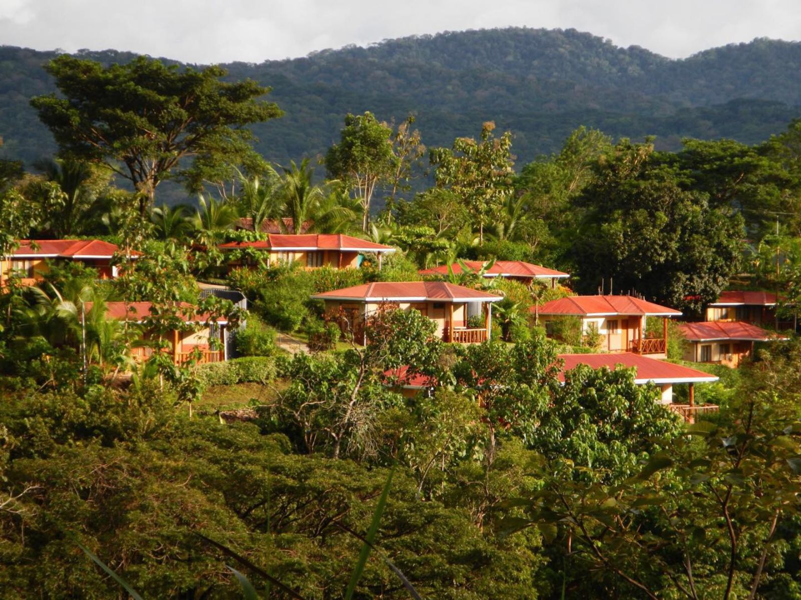 Rondreis Costa Rica, Tarcoles, Hotel Cerro Lodge, buitenaanzicht accommodatie
