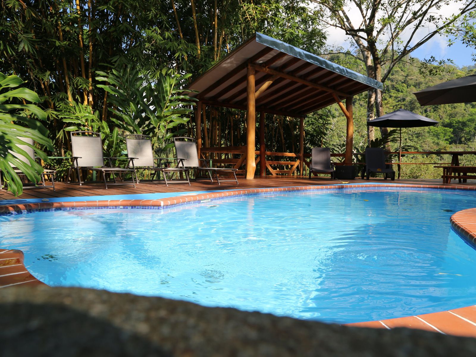 Rondreis Costa Rica, Uvita, Manoas, zwembad