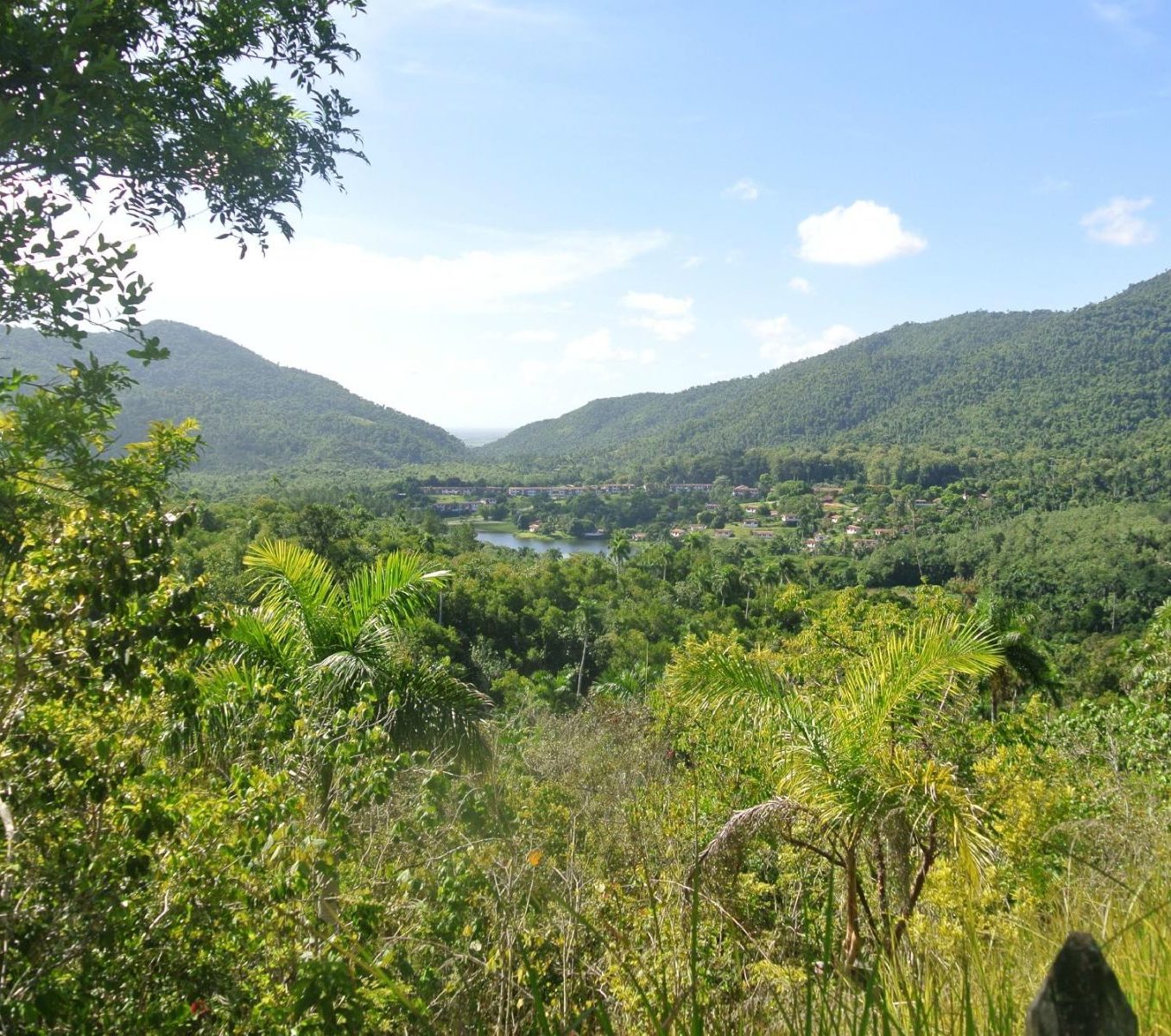 Rondreis Cuba, Las Terrazas, overzicht natuurreservaat