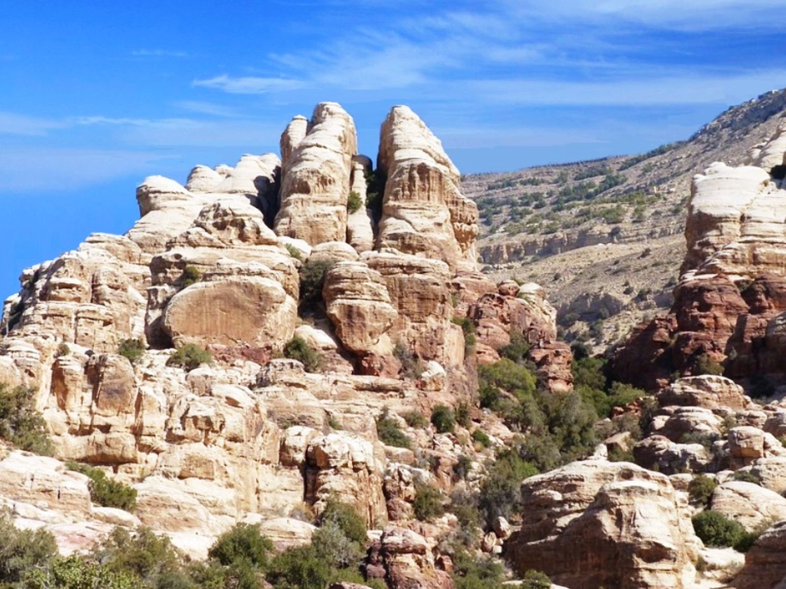 Rondreis Jordanië, Dana, puntige rots