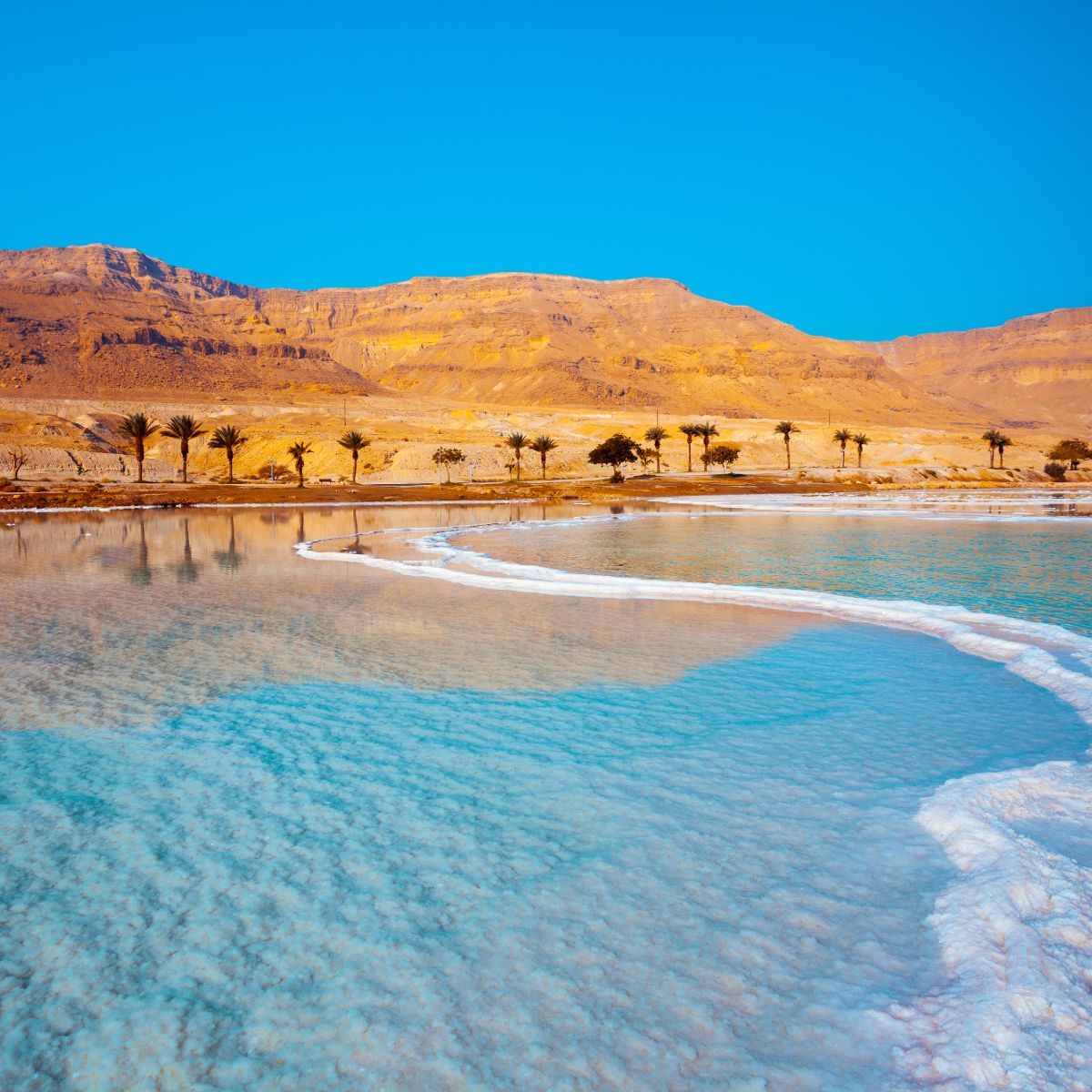 Rondreis Jordanië, Dead Sea, palmbomen op achtergrond