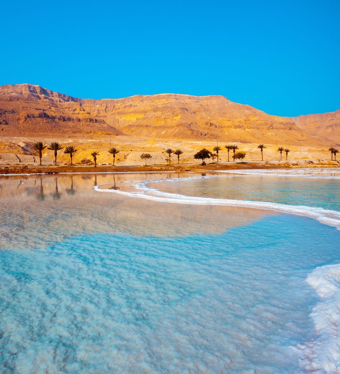 Rondreis Jordanië, Dead Sea, palmbomen op achtergrond