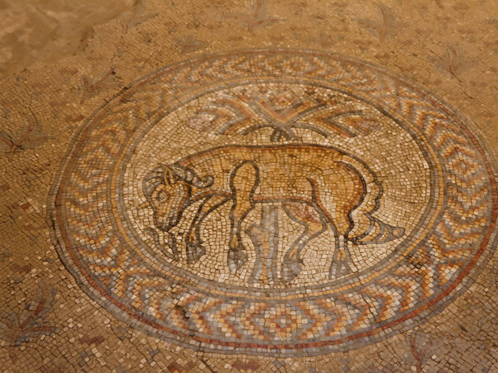 Rondreis Jordanië, Madaba, mosaic