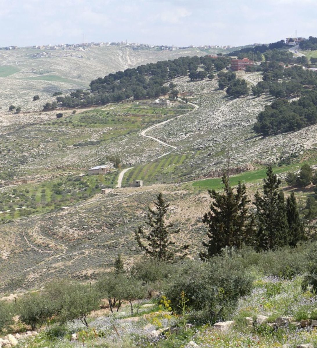 Rondreis Jordanië, Mt. Nebo, berg daling