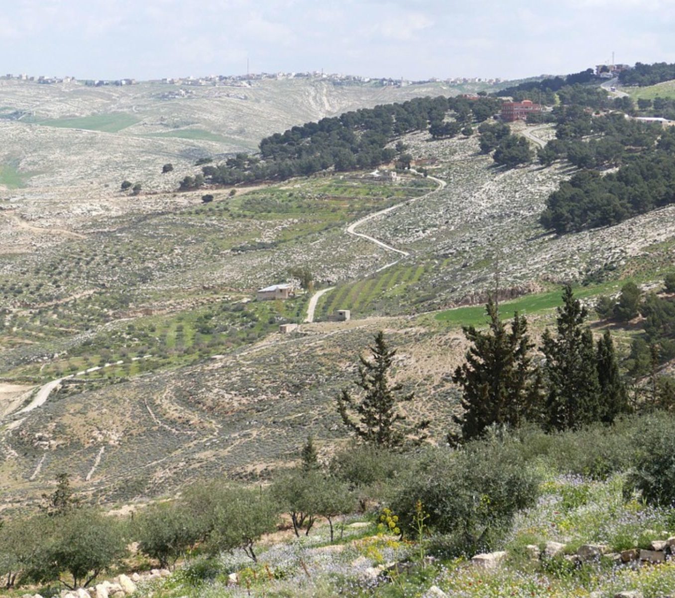 Rondreis Jordanië, Mt. Nebo, berg daling